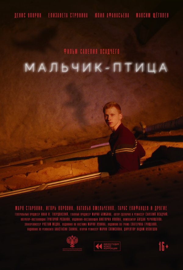 Мальчик-птица 2025 постер